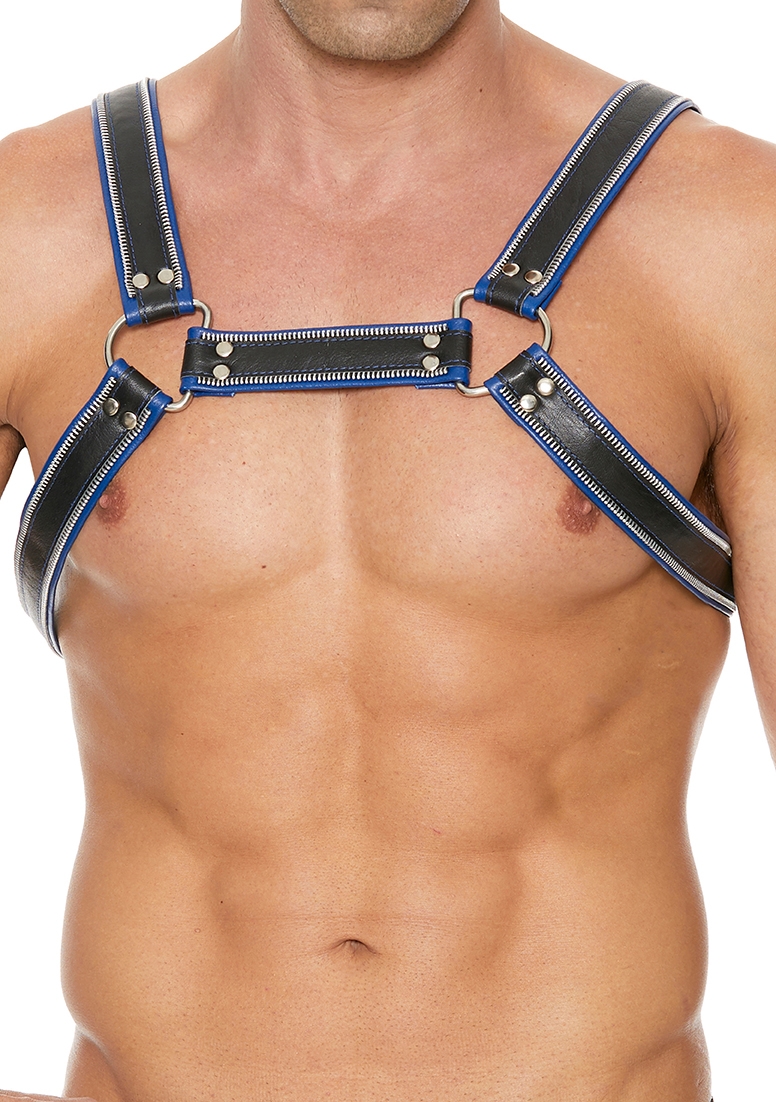 Z Series Chest Bulldog Harness - Leather - Black/Blue - L/XL