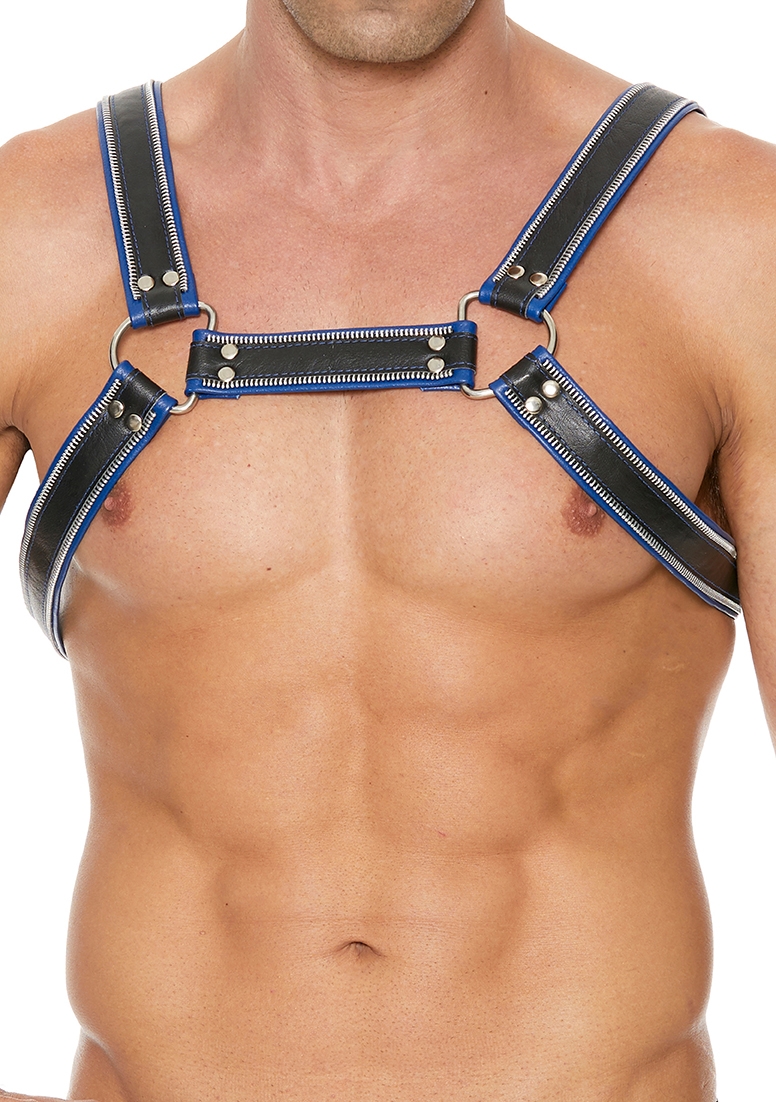 Z Series Chest Bulldog Harness - Leather - Black/Blue - S/M