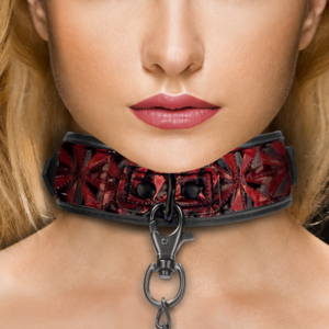 Luxury Collar with Leash - Burgundy