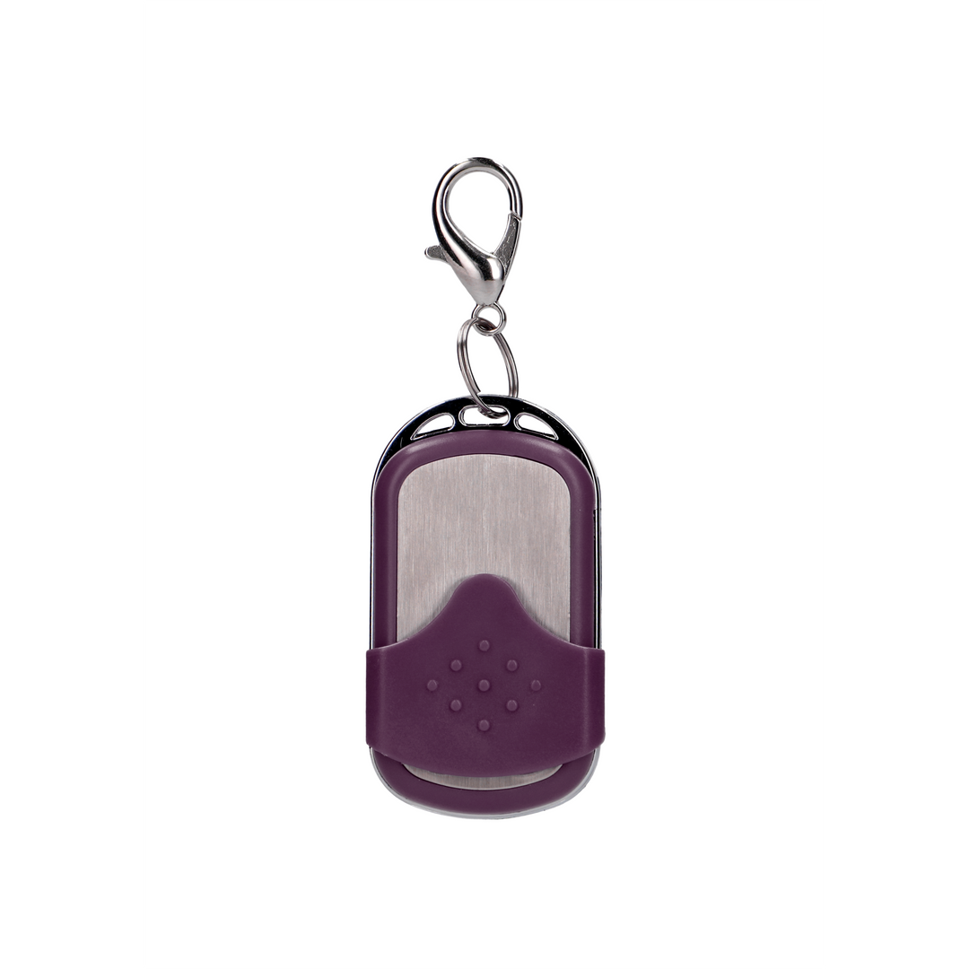 Wireless Vibrating G-Spot Egg - Big - Purple