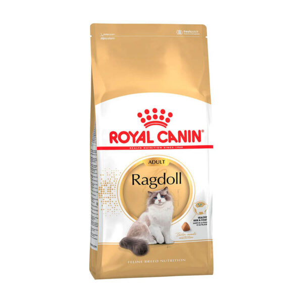 royal canin ragdoll adult dry cat food